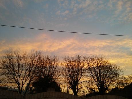 Sunset in a field village in the Argentine pampas 250.-20220614_180925.jpg