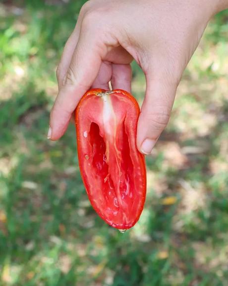 tomates secos al sol como hacer