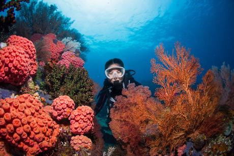 25 mejores cosas para hacer en Indonesia Buceo Raja Ampat