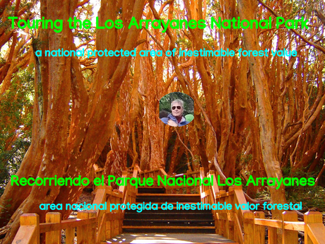 Touring the Los Arrayanes National Park, a national protected area of inestimable forest value. 221.-Imnagen-inicial-Parque-Nacional-los-Arrayanes-2.png