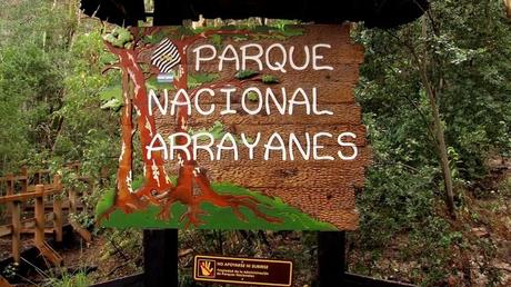Touring the Los Arrayanes National Park, a national protected area of inestimable forest value. 221.-Parque-Nacional-Los-Arrayanes.jpg