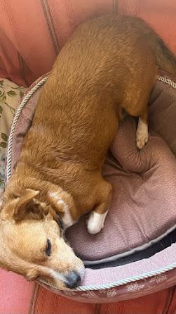 Detalles bonitos de Febrero, 2024 07