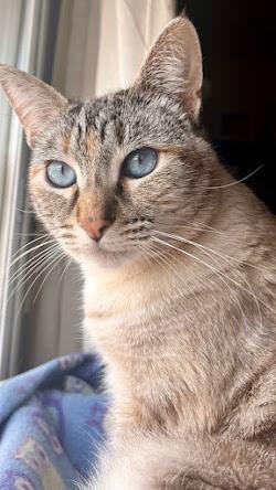 Detalles bonitos de Febrero, 2024 08