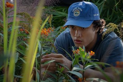 Secretos de un escándalo; Una historia de amor prohibida