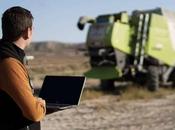 ¿Cómo agricultor?, MasterD