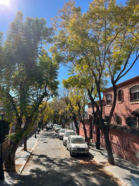 Dónde alojarse en Málaga: mejores zonas y hoteles