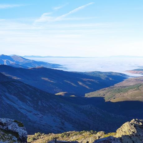 El Lince de Perahigos 2022