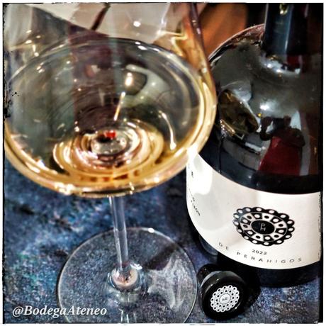 El Lince de Perahigos 2022