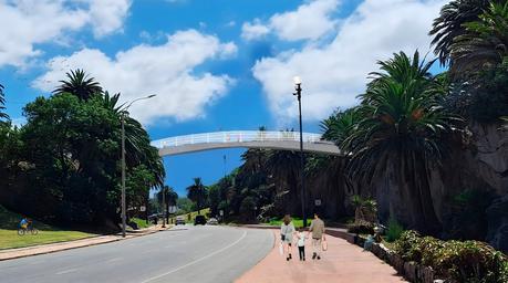 Late Montevideo: ¿cómo es el proyecto gubernamental que propone revitalizar la rambla y su entorno? Late Montevideo: ¿cómo es el proyecto gubernamental que propone revitalizar la rambla y su entorno?