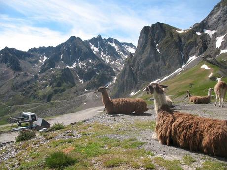 Qué ver en el Tourmalet 