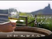 Ruta Vino Gran Canaria invita «desenmascarar» placer nuevo spot