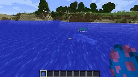 Cómo domesticar un delfín en Minecraft