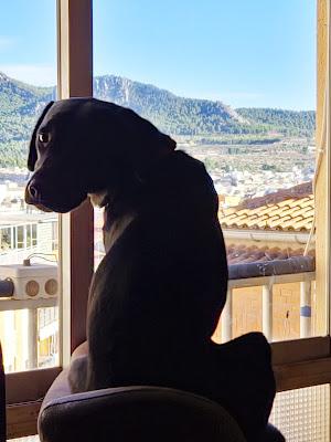 EL COSTO DE KENT CASTWELL Avram Davidson EL COSTO DE KENT CASTWELL Avram Davidson