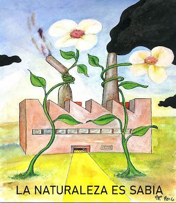 Fuego y cenizas en Nou Campanar…  y Ábalo se tiró al monte.