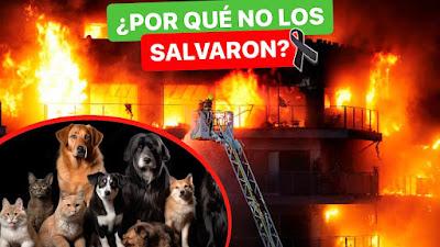 Fuego y cenizas en Nou Campanar…  y Ábalo se tiró al monte.