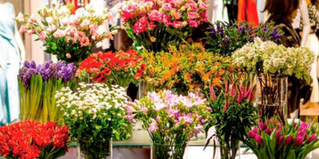 Jardín de ensueño: Transforma tu boda en un oasis floral de belleza y elegancia