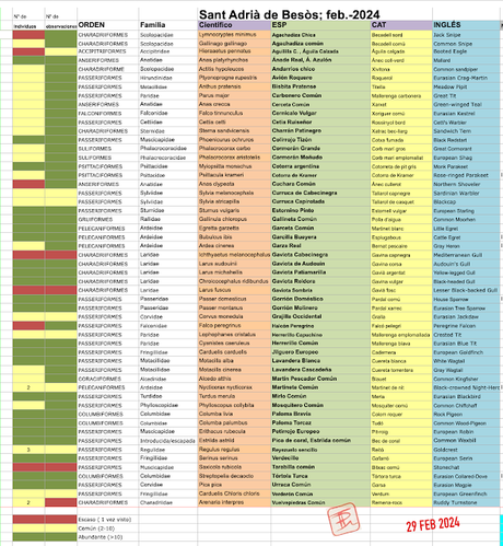 #OcellsdeSantAdrià Feb-2024