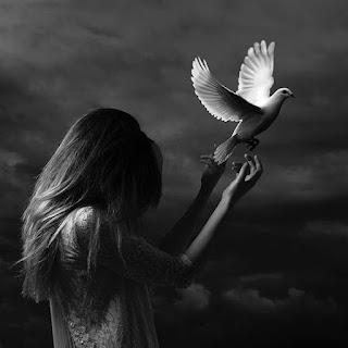 5.769 - SE APAGA EL DÍA...