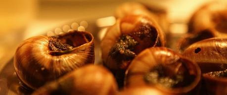 De la costa a la montaña: Rutas gastronómicas para saborear Cataluña