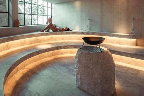 longevity de Thomas Wellness Group, la importancia de la longevidad y cómo alcanzarla longevity de Thomas Wellness Group, la importancia de la longevidad y cómo alcanzarla