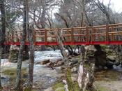 Collado encina