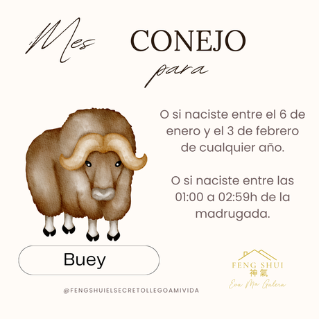 Horóscopo chino mes Conejo para la Rata, Buey Tigre y Conejo
