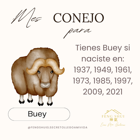 Horóscopo chino mes Conejo para la Rata, Buey Tigre y Conejo