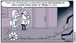 De la muerte de un árbol