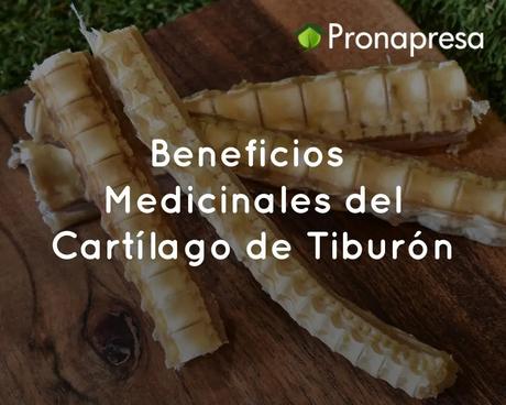 Beneficios Medicinales del Cartílago de Tiburón