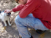 Historia Aaron Bushnell, Soldado Estadounidense Auto Inmoló Palestina