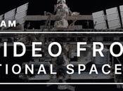 SpaceX Crew-8 NASA lanza Estación Espacial Internacional