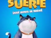 Gato Suerte llega cines Chile tras aclamada Sundance