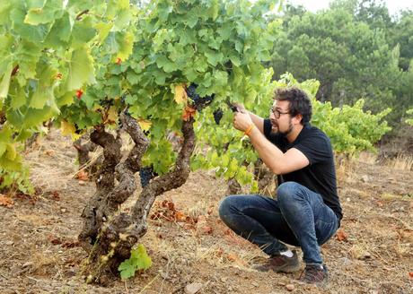 Bodegas Frontonio recuperando la tradición vinícola Bodegas Frontonio recuperando la tradición vinícola