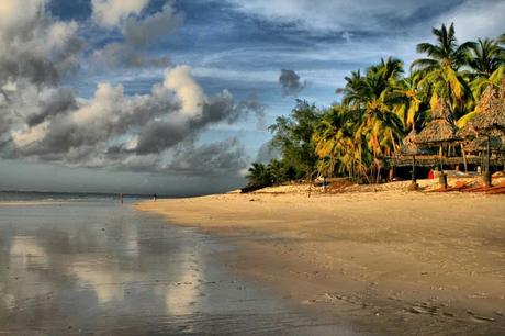 15 mejores lugares para visitar en Somalia Parque Nacional Lag Badana-Bushbush