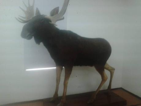 15 mejores cosas que hacer en Popayán (Colombia) 15 mejores cosas que hacer en Popayán (Colombia)