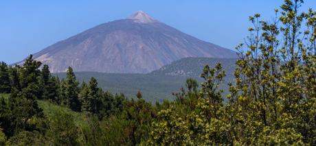 3 actividades imprescindibles que hacer en Tenerife 3 actividades imprescindibles que hacer en Tenerife