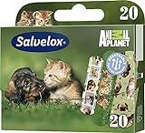 Salvelox Apósitos Salvelox Apositos Animal Planet 51030027 - 1 unidad
