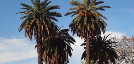 Guía completa de Buenos Aires – Que ver en Buenos Aires Guía completa de Buenos Aires – Que ver en Buenos Aires