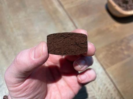 Keurig Biodegradable Pods: cómo el barista planea abordar el problema de los residuos 1 vaina de verdura redonda cortada por la mitad