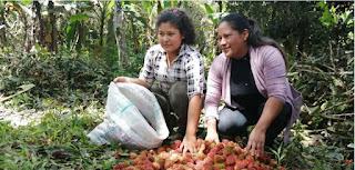 Empoderamiento Femenino y Turismo Sostenible en las Comunidades del Chocó Andino