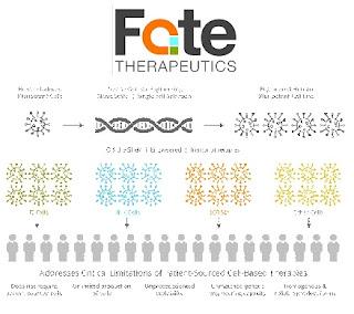 25 innovaciones en tecnología sanitaria para 2024 - 13. Terapia con células madre para medicina regenerativa 25 innovaciones en tecnología sanitaria para 2024 - 13. Terapia con células madre para medicina regenerativa