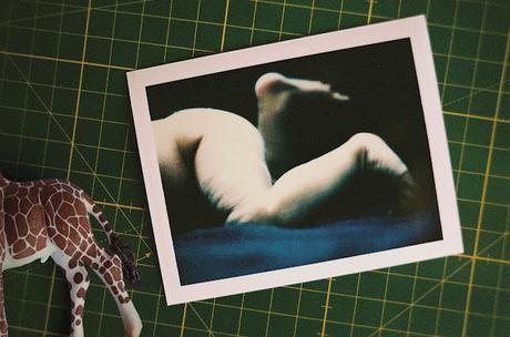 CPH:DOX '24 - Parte 1: La política del cuerpo