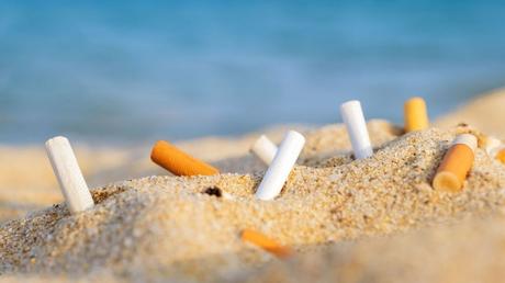 SOMOS MUY GUARROS. SOMOS MUY GUARROS.