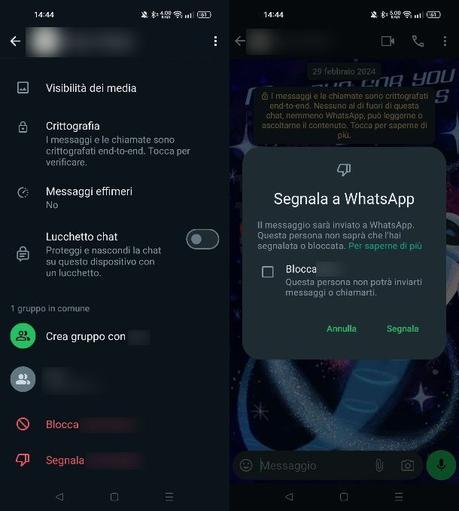 Cómo eliminar el spam de WhatsApp Cómo eliminar el spam de WhatsApp