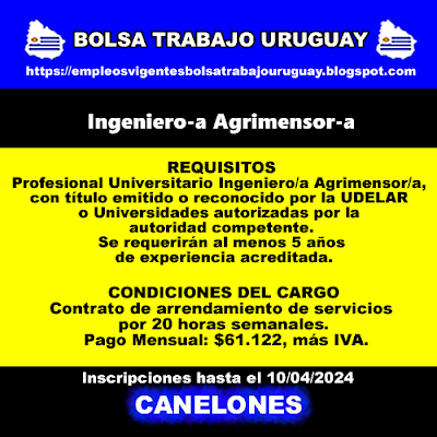 Ingeniero-a Agrimensor-a Ingeniero-a Agrimensor-a