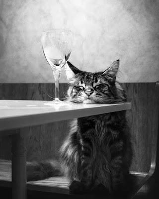 Las 'perlas' de Luis Argüello, el nuevo jefe de los obispos… y ‘Retrato de un comisionista con presidenta al fondo’. Las 'perlas' de Luis Argüello, el nuevo jefe de los obispos… y ‘Retrato de un comisionista con presidenta al fondo’.