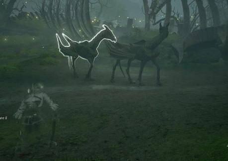 Cómo atrapar un Thestral