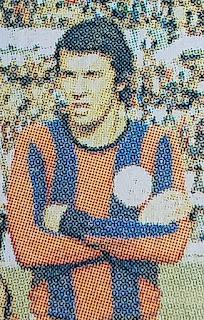 Hector Osvaldo Pitarch