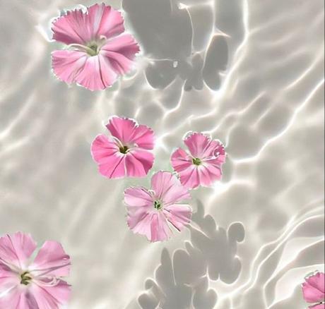 Aguas florales: qué son, para qué sirven y cómo se usan.