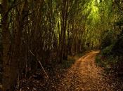 Abiertos centros información parques naturales Guadalajara desde este sábado